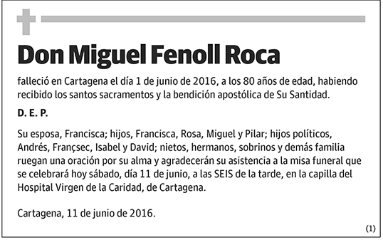 Miguel Fenoll Roca