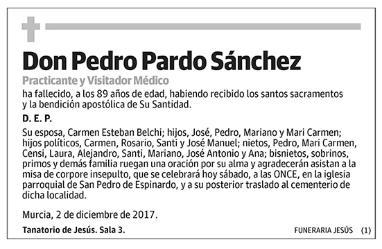 Pedro Pardo Sánchez