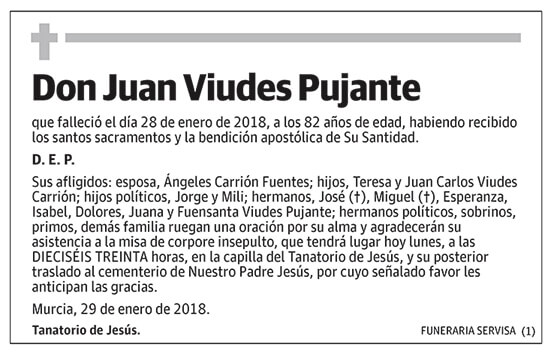 Juan Viudes Pujante