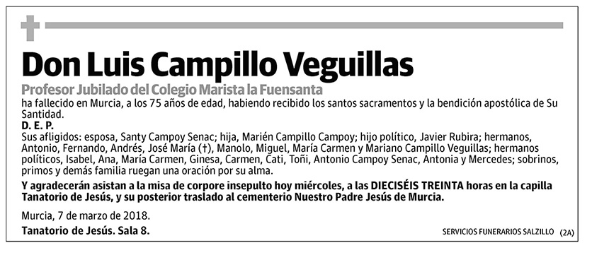 Luis Campillo Veguillas