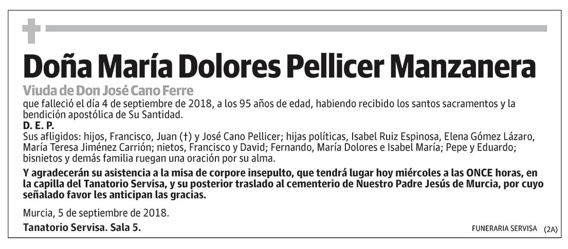 María Dolores Pellicer Manzanera