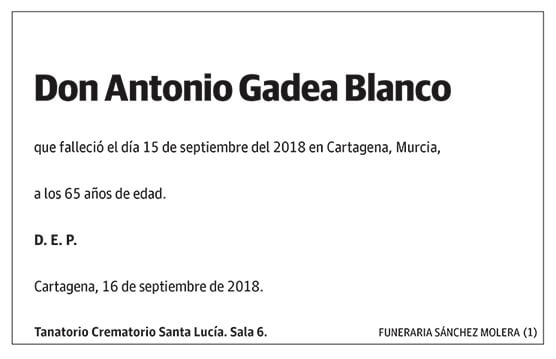 Antonio Gadea Blanco