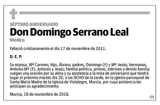 Domingo Serrano Leal