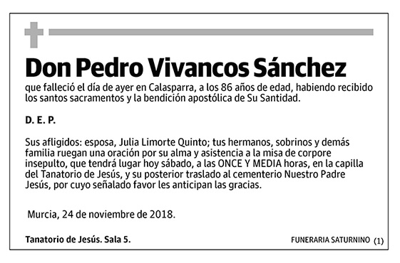 Pedro Vivancos Sánchez