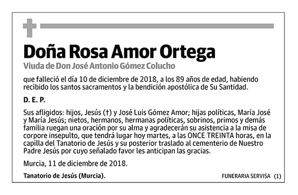 Rosa Amor Ortega