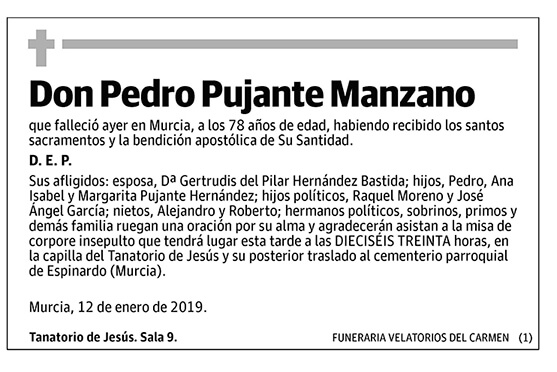 Pedro Pujante Manzano