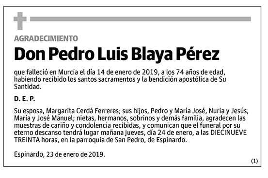 Pedro Luis Blaya Pérez